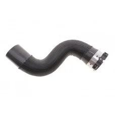 Патрубок інтеркулера (R) Renault Megane III/Scenic III 1.5 dCi 09-16