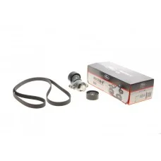 Комплект ременя генератора Renault Megane/Scenic 1.4/1.6 00-09 (5PK1750)