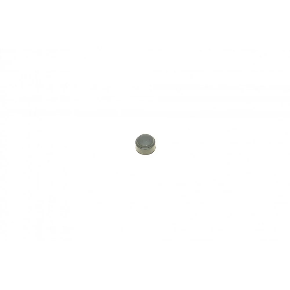 Ремкомплект супорта (заднього) Subaru (All) 07- (d=38mm)