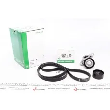 Комплект ременя генератора Renault Megane/Scenic 00-09, (5PK1750)