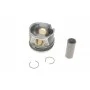 Поршень VW Crafter 2.5TDI 100/120kw 06-13 (81.26mm/+0.25)
