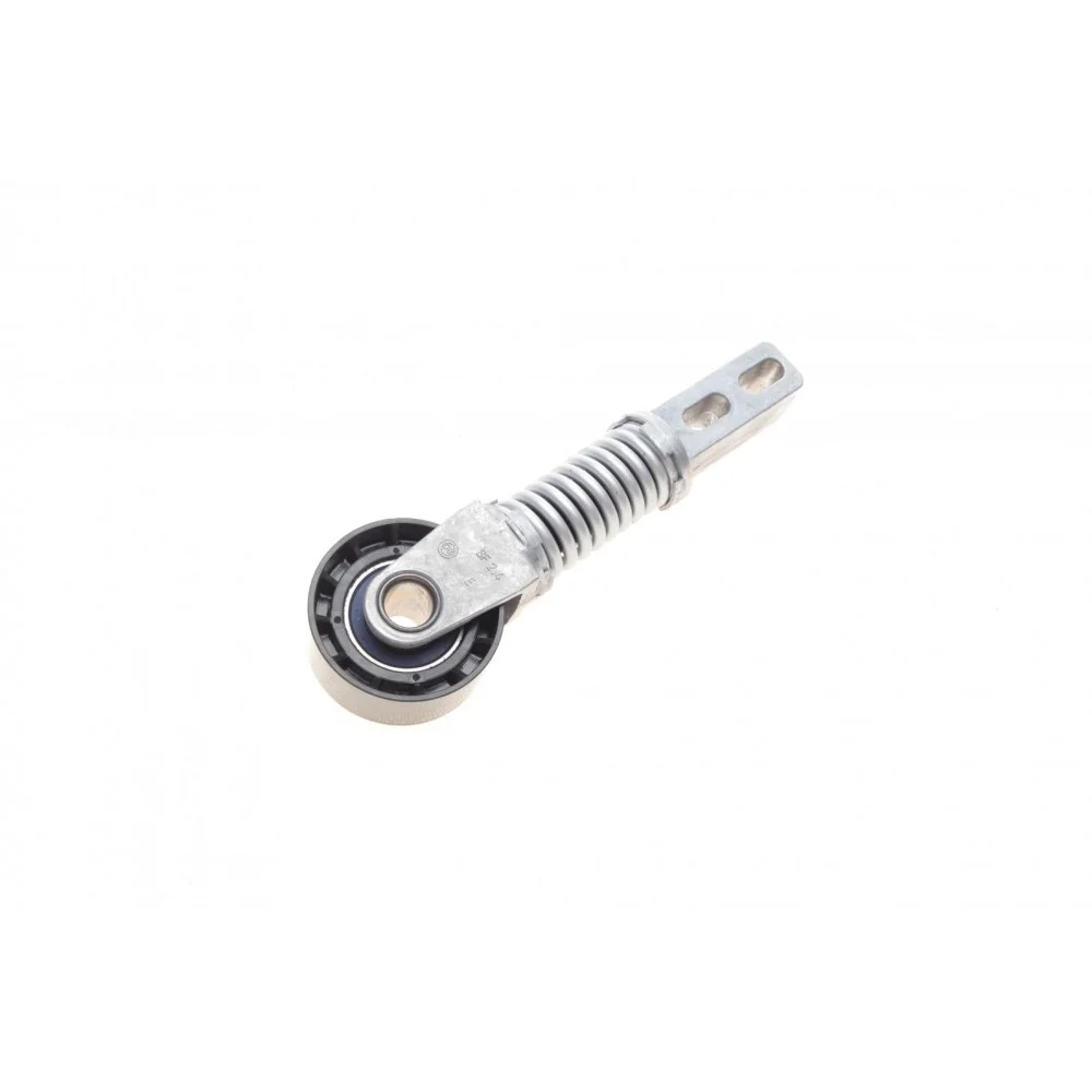 Натяжник ременя генератора Renault Megane/Scenic 1.9 dCi 97-03