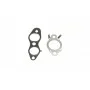 Прокладка клапана EGR Citroen Jumpy/Peugeot Expert 2.0 HDi 09- (к-кт)