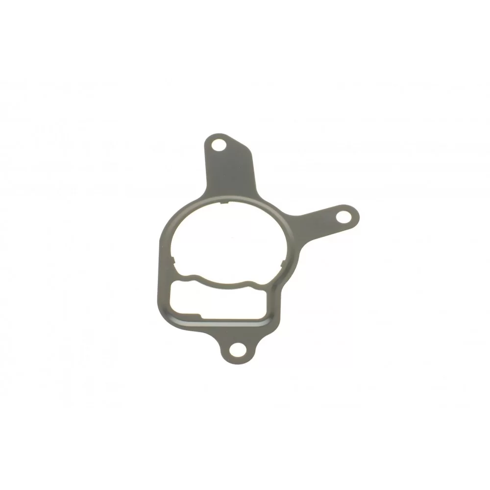 Прокладка насоса вакуумного VW Golf VI/Jetta III/IV 2.5 06-