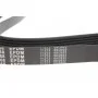 Ремінь генератора Fiat Ducato 2.0JTD 01- (ALT, AC) (6PK1468)