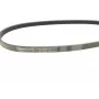 Ремінь генератора Honda Civic VI/Nissan Primera/Citroen Berlingo 1.4-1.6 16V 94-05 (4PK800)