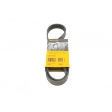 Ремінь генератора Renault Megane/Scenic 1.9dCi/2.0 03-/Nissan Juke 1.6 10-