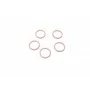 Кільце ущільнююче (O-ring) Renault (5 шт.)007950024400