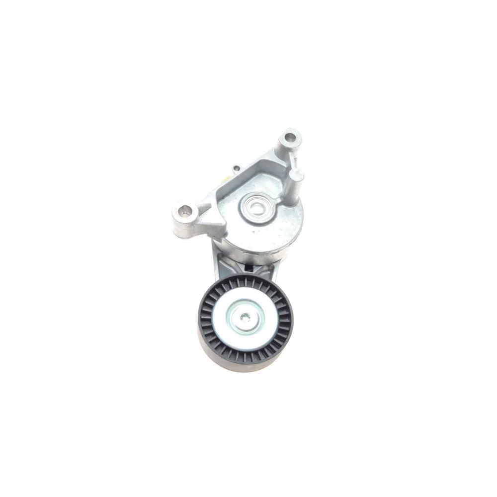 Натяжник ременя генератора VW Caddy 1.9TDI/2.0SDI 04-10 (70x25)