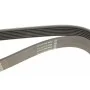 Ремінь генератора BMW 7 (E65) 4.0/4.5D 02-08/Honda Accord/Civic 2.0 01-08