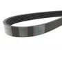 Комплект ременя генератора Audi A2/Seat Ibiza/Skoda Fabia/VW Golf/Polo 1.4/1.6/1.6FSI 97-