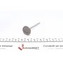 Клапан (впуск) Nissan Primastar/Opel Vivaro/Renault Trafic 1.8/2.0 98- (33.4x5.5x110.7)