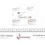 Комплект прокладок турбіни Fiat Doblo 1.3JTD 05-10