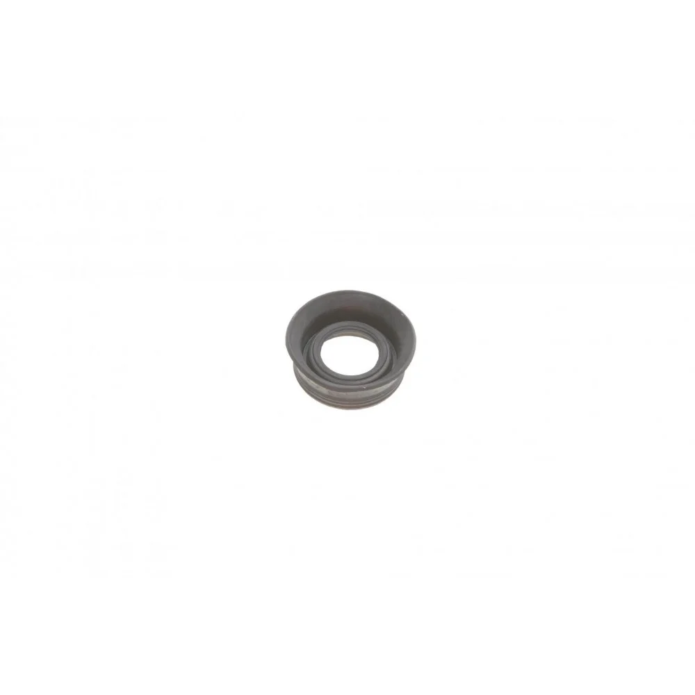 Ремкомплект супорта (заднього) Renault Master/Opel Movano 10- (d=60mm) (Brembo)