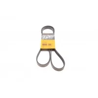 Ремінь генератора Opel Zafira/Astra 1.6/1.8 05-15/Fiat 1.6/1.8 05-/Chevrolet Orlando 1.8 11-