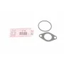 Прокладка клапана EGR VW Golf IV 1.9 TDI 97-05