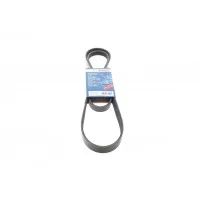 Ремінь генератора Ford Fiesta/Focus 1.4LPG/1.6Ti 08- (6PK1019)