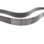 Ремінь генератора BMW 5 (F10)/ X5 (E70/F15/F85)/X6 (E71/E72/F16/F86) 08-16 (8PK1478)