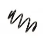 Пружина (задня) Renault Clio III/Modus 1.2-2.0 16V/1.5dCi 04-