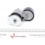Натяжник ременя генератора Renault Scenic/Megane II/III 1.9dCi/2.0 16V 03-