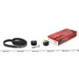 Комплект ГРМ Citroen C5/C6/C8/Fiat/Ford/Peugeot 2.2HDI 06-