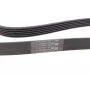 Ремінь генератора Ford Focus 1.4/1.6 98-05/Toyota Rav4 1.8 00-05/Daewoo Nubira 1.8/2.0 99-