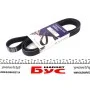 Ремінь генератора Peugeot Expert/Citroen Jumpy 1.9D/TD 96-/2.0HDI 00- (6PK1740)