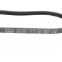 Ремінь генератора Fiat Punto 93-99 (4PK706)