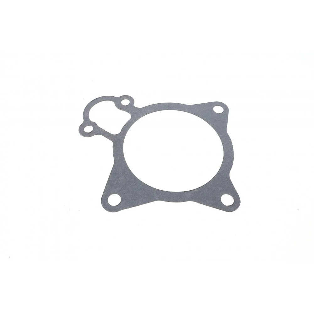 Прокладка помпи води Citroen Jumper/Fiat Ducato/Peugeot Boxer 3.0 HDi 06-