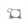 Прокладка помпи води Citroen Jumper/Fiat Ducato/Peugeot Boxer 3.0 HDi 06-