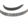 Ремінь генератора Citroen Jumper 1.9TD 94-02 (ALT,PS,AC)