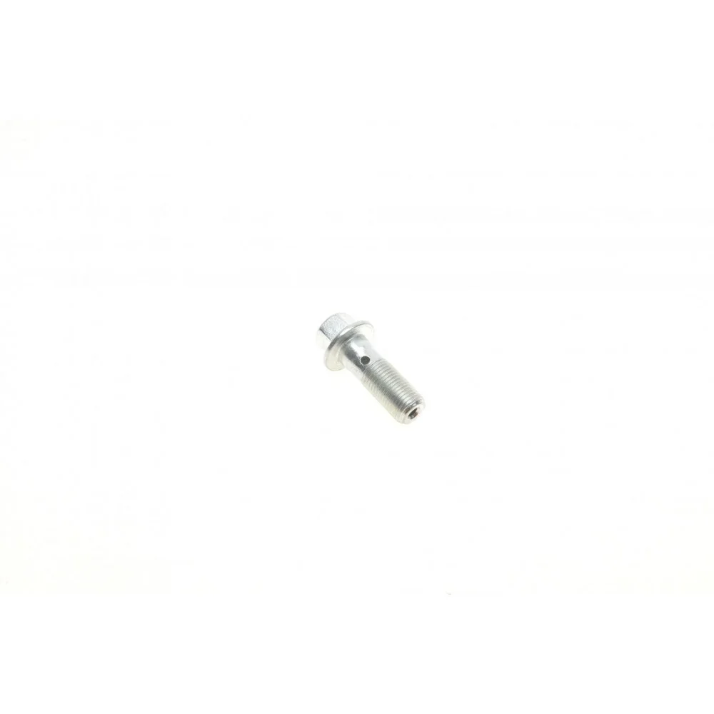 Болт Banjo (банжо) M10x1mm (11x37)