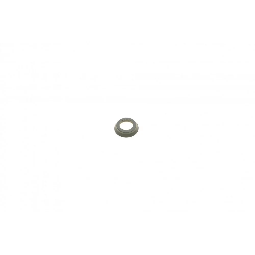 Ремкомплект супорта (заднього) (L) VW Caddy III 04-15 (d=38mm) (Bosch) (+поршень/направляюча)
