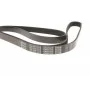 Ремінь генератора Audi/BMW/Chevrolet/MB/Opel (6PK1875)