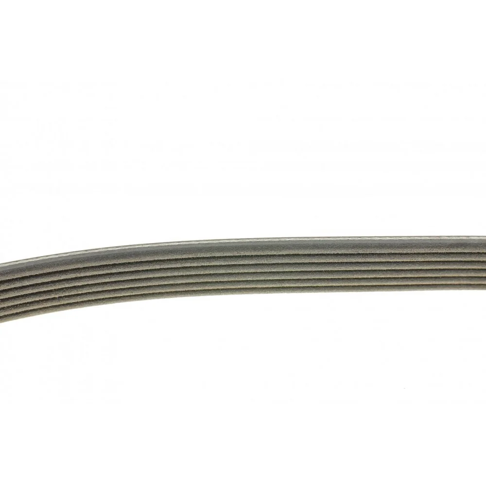 Ремінь генератора Fiat Scudo/Citroen Berlingo/VW Golf IV 1.8/1.9TDI 97-