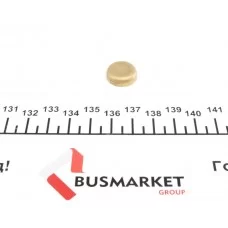Заглушка блоку циліндрів (d=16mm) Латунь/Brass