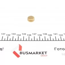 Заглушка блоку циліндрів (d=15mm) Латунь/Brass