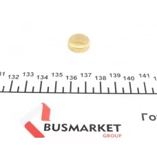 Заглушка блоку циліндрів (d=16,5mm) Латунь/Brass