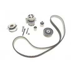 Комплект ГРМ + помпа VW Crafter/Caddy/Passat/Golf/Audi/Skoda/Seat 1.2-1.6-2.0TDI 09-(160х25)(PA1089)