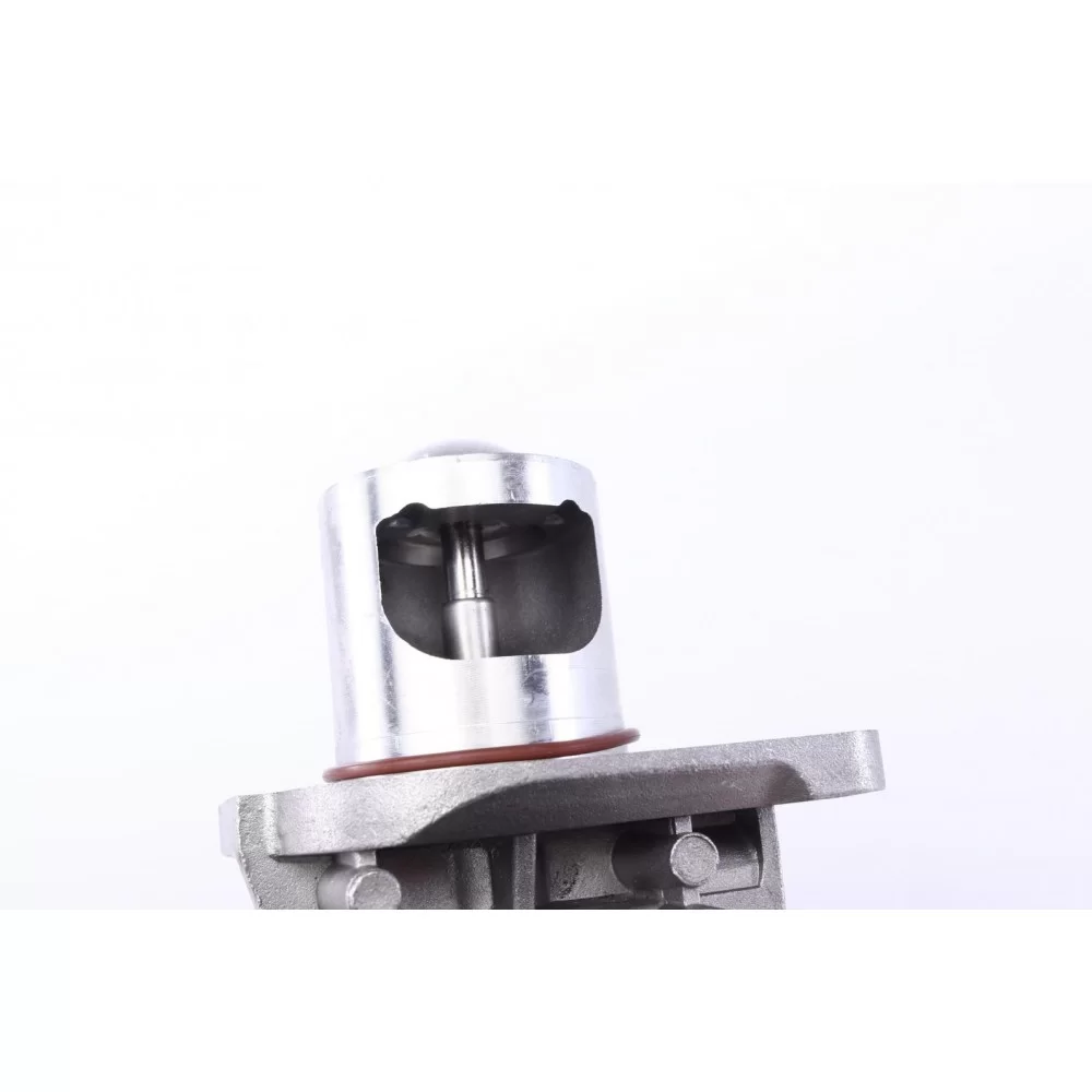 Клапан EGR BMW 1 (E82)/3 (E90)/5 (F10) 1.6/2.0/3.0D 04-