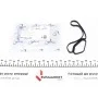 Прокладка радіатора масляного BMW 3 (E90)/5 (E60/F10) 2.3-3.5 -16