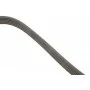 Ремінь генератора Opel Astra 1.7CDTi 03-/Renault Megane/Laguna 1.9-3.0 97-03/BMW 1 (E81/E87) 04-11