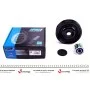 Шків колінвалу + шків генератора Renault Megane/Laguna 2.0 16V 02- (7PK)