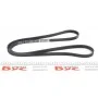 Ремінь генератора Renault Kangoo 1.4/1.6i, 97- (5PK1750)