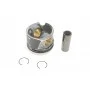 Поршень VW Crafter 2.5TDI 06-13 (81.51mm/+0.50)