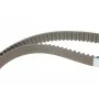 Комплект ГРМ VW Golf VI/Skoda Octavia/Superb/Audi A3 2.0TDI 04-13 (160x25)(P569)