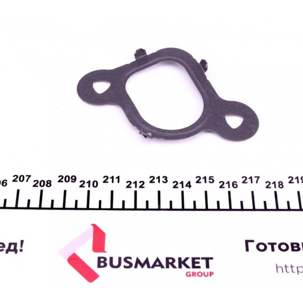 Прокладка колектора впускного VW T5 2.5 TDI 03-10 (1 цил)