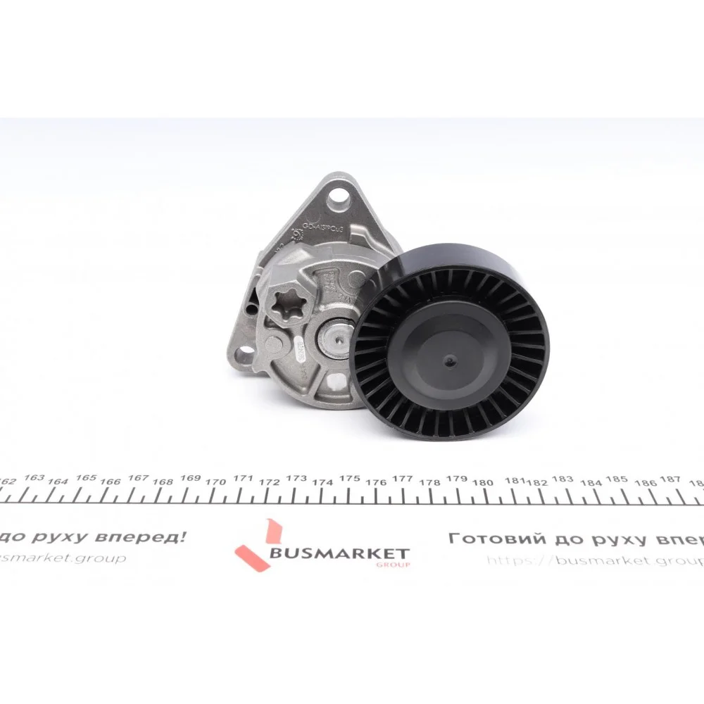 Натяжник ременя генератора Kia Carnival 2.9TD 07-