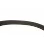 Ремінь генератора Audi/BMW/Chevrolet/MB/Opel (6PK1875)