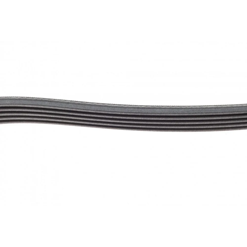 Ремінь генератора Fiat Bravo I 1.2 16V (182_) 95-01 (+AC) (5PK1588)